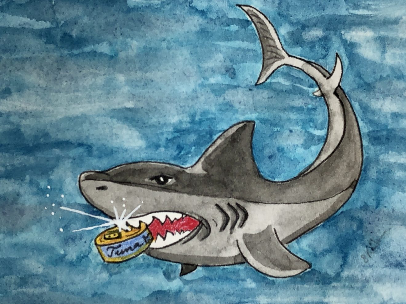 Shark eats Tuna small - Decernis